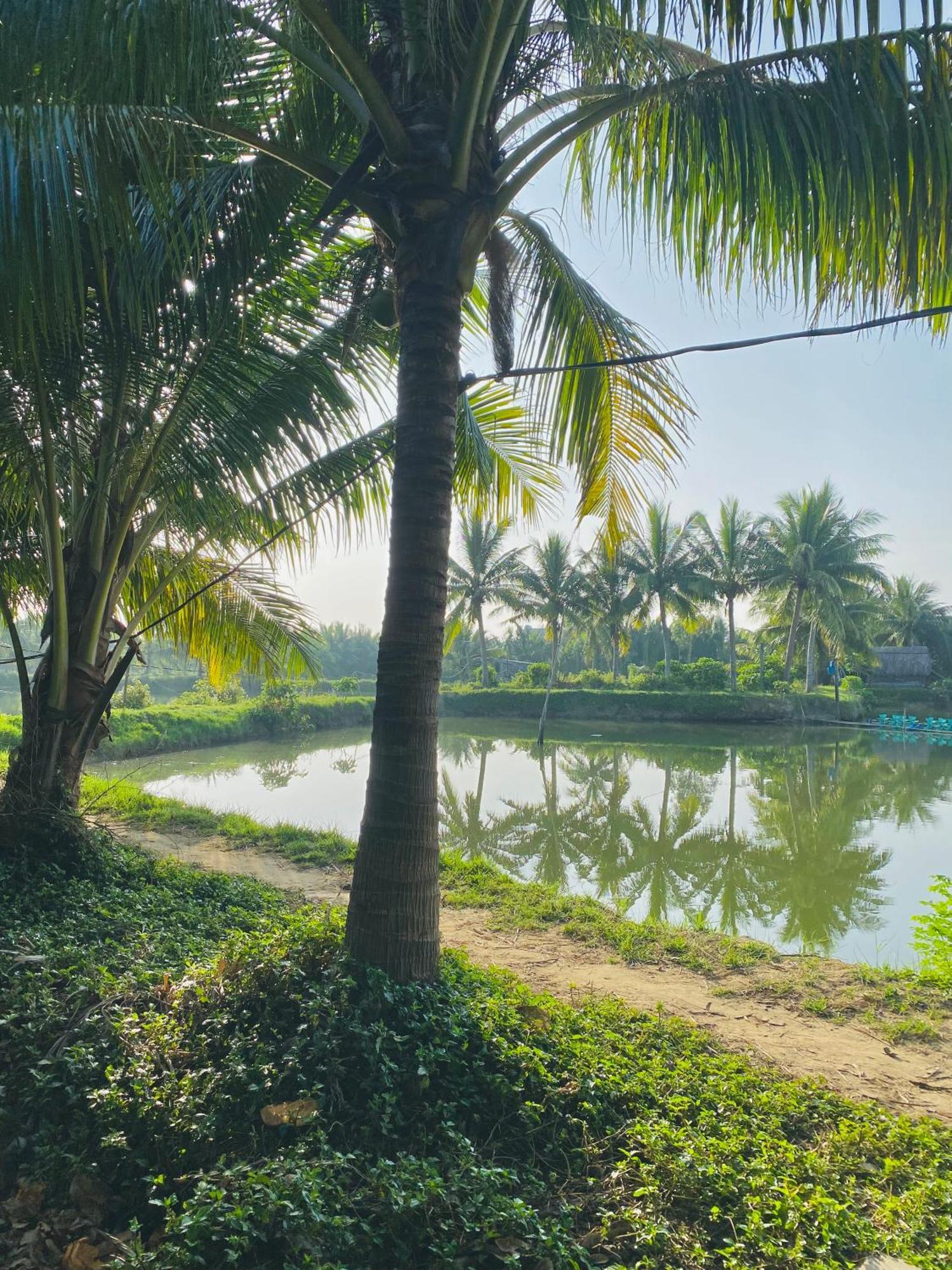 Laoxao Lakeview Homestay ホイアン エクステリア 写真